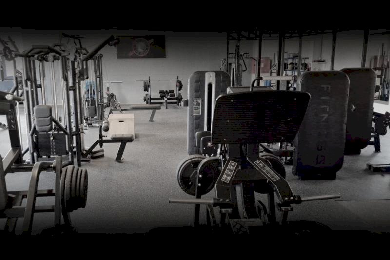 Fitness 